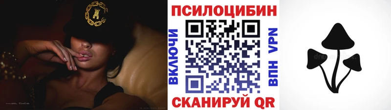 Псилоцибиновые грибы Psilocybine cubensis  Купить  Мамадыш 